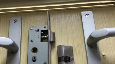 Customized 25*85mm Stainless Steel Mortise UPVC Door Lock